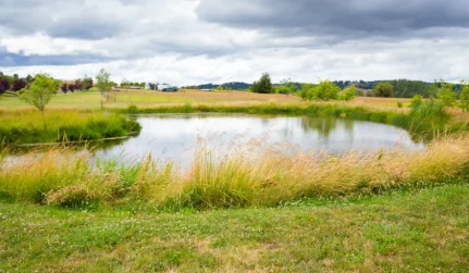 Pond Repair & Maintenance